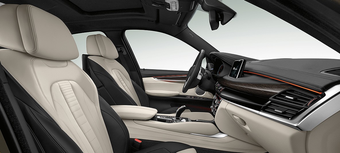Interior Design of the 2018 BMW X6 